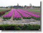 Uden for hegnet